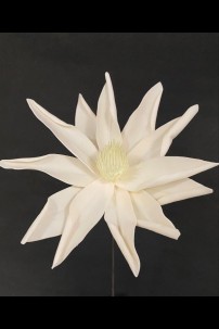 **NEW** CREAM FOAM FLOWER [FF705176]